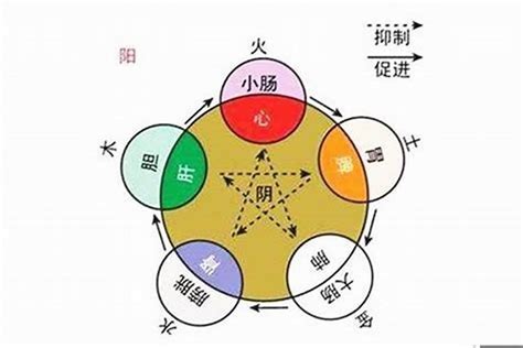 尚字五行|尚的五行属什么,尚字的五行属性,尚的寓意